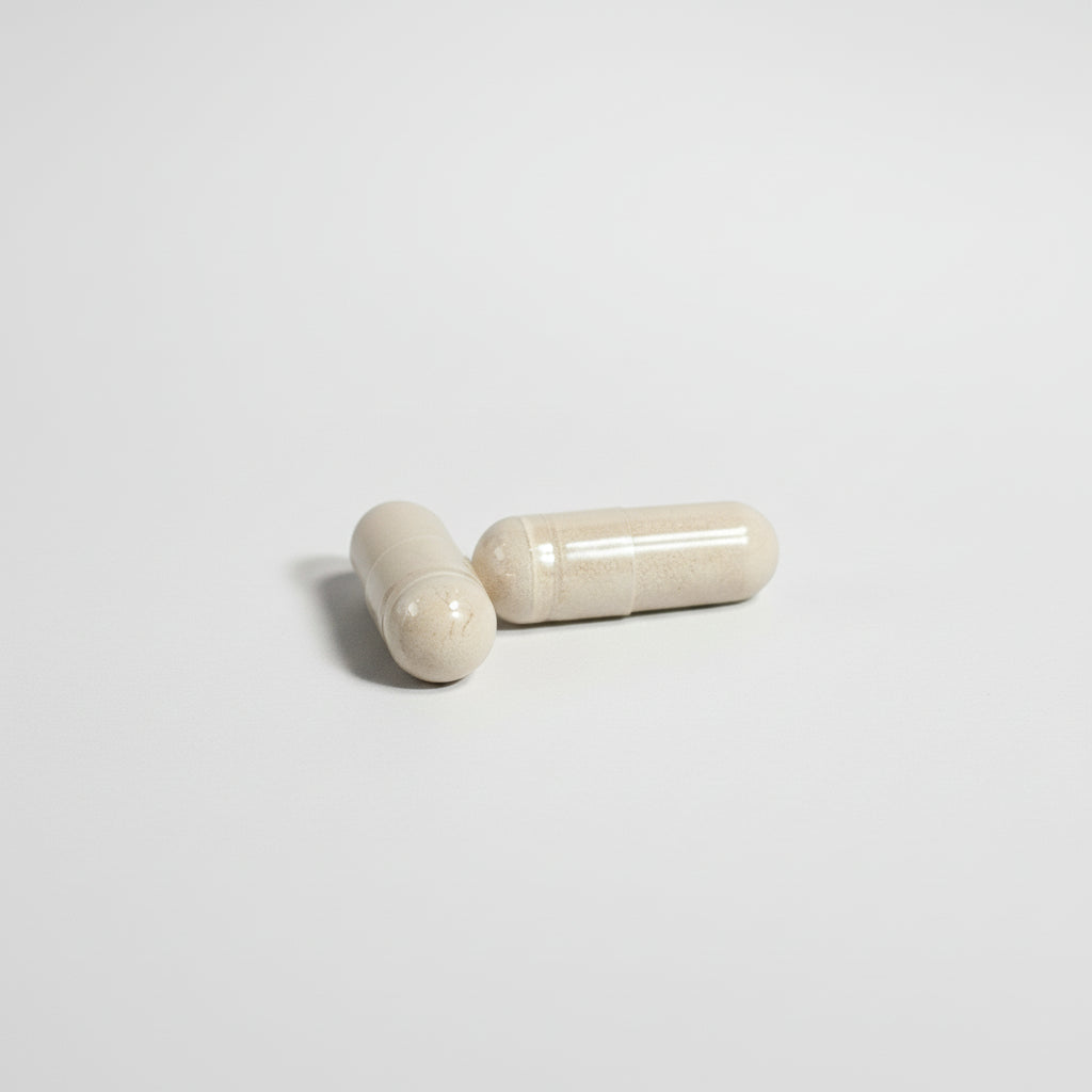 Rhythm N Reflex - Fighter’s Formula™