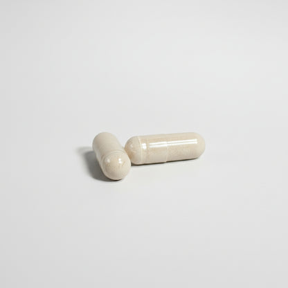 Rhythm N Reflex - Fighter’s Formula™